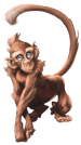 Le Singe